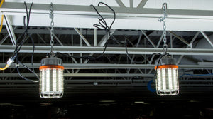 Bergen Industries K5100 High Bay Temp Light 100w LED, IP65, 13,000lm, 5000k